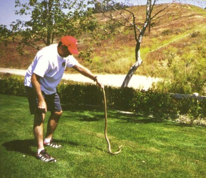 Tailing a large local snake