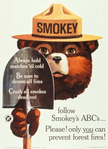 Smokey Bear Ad Campaign